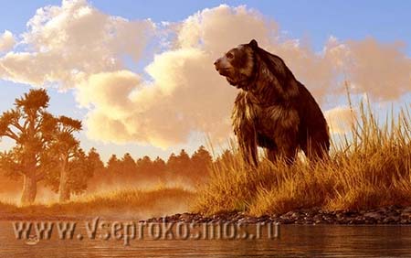 Огромный медведь Иркуйем