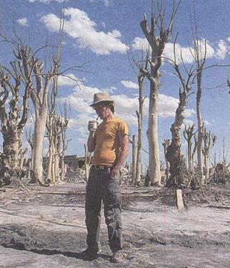 Североамериканские леса после нашествия гусениц шелкопряда