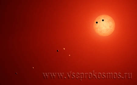 Звезда TRAPPIST-1